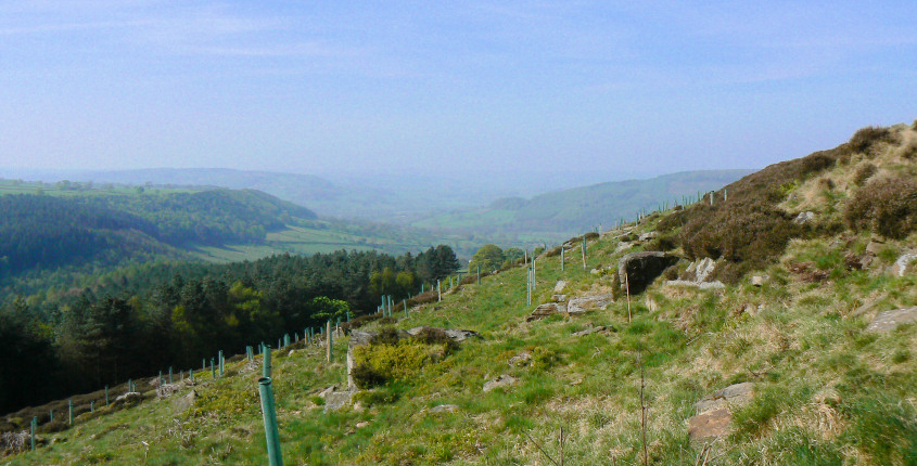 Derwent Valley Derwent Valley